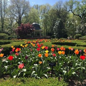 Meet your Posher, Breanna